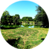 Vente Terrain Rayol-Canadel